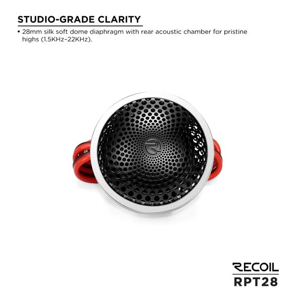 RPT28