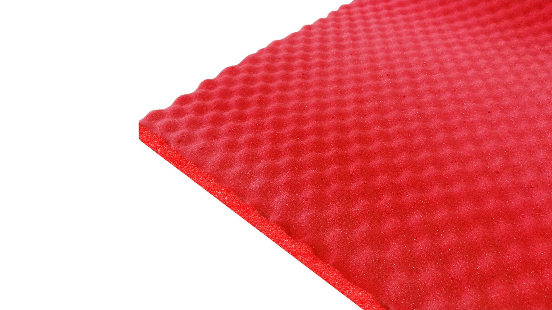 Biplast Premium R.E.D.