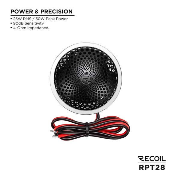 RPT28