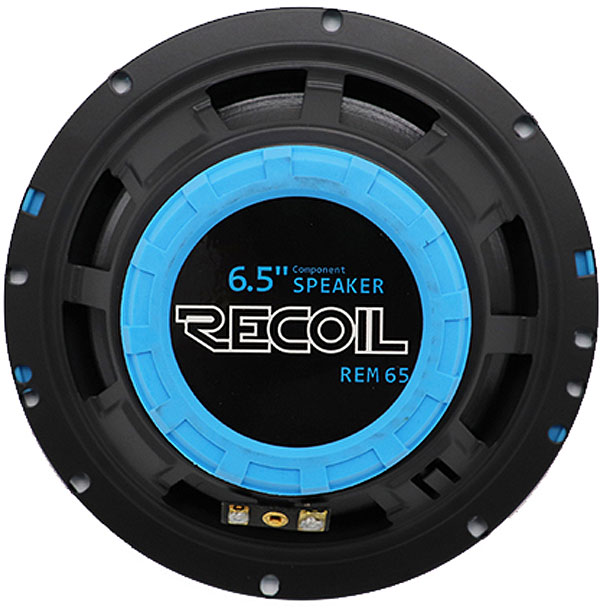 REM65